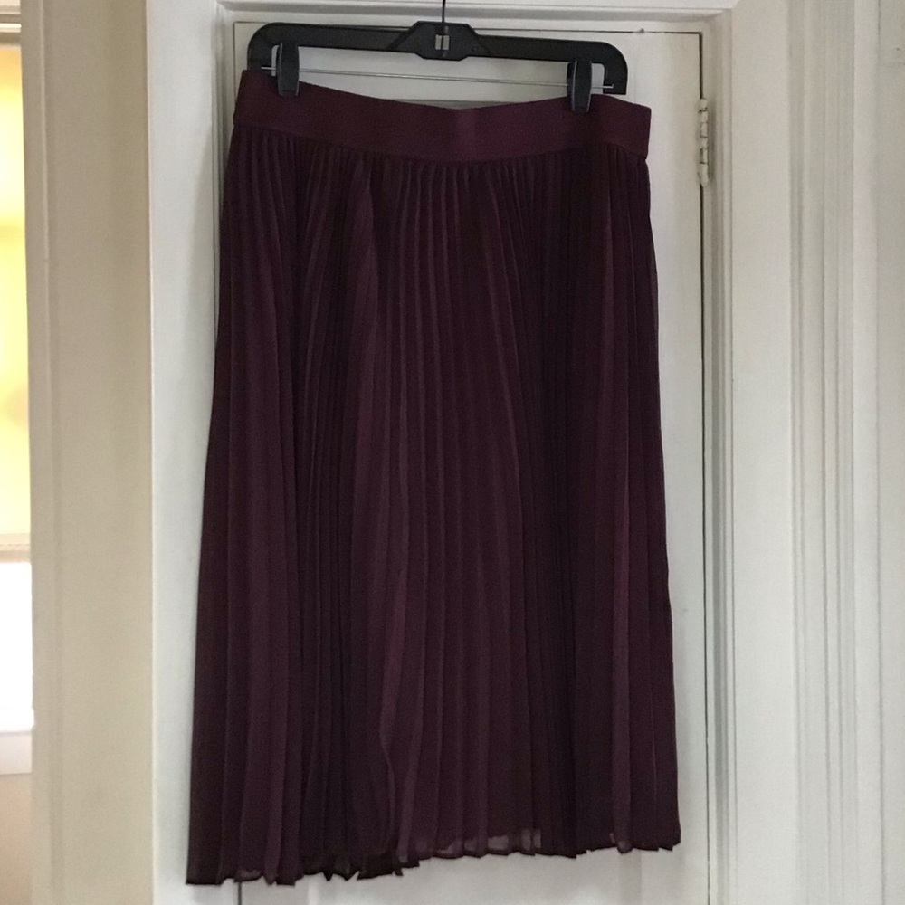 Pleated Skirt